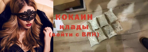 твердый Абаза