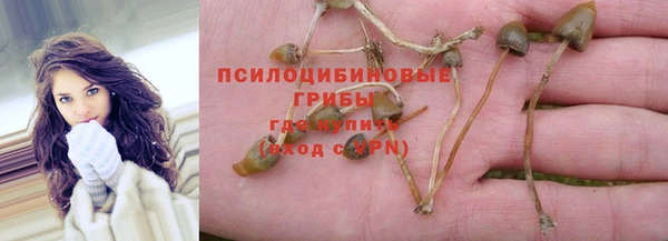 прущая мука Алзамай