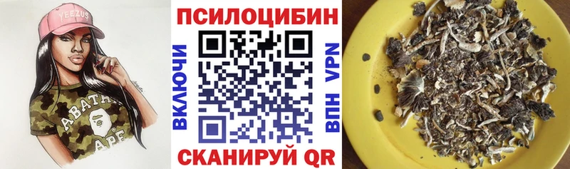 Псилоцибиновые грибы Cubensis  Мантурово 